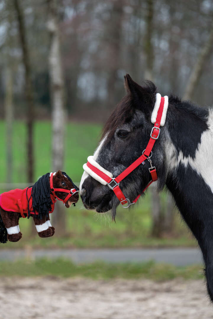 HKM KIDS Cuddle Pony